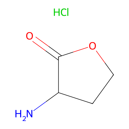 Amino Acids