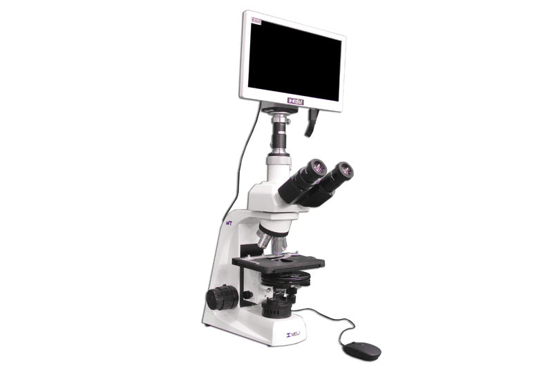 Biological Compound Microscope