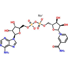 beta-Nicotinamide Adenine Dinucleotide Sodium Salt