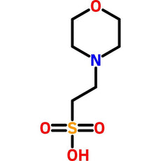 MES, Anhydrous, Biological Buffer