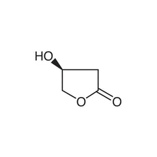 (S)-3-Hydroxy-gamma-butyrolactone, 5G - H0939-5G