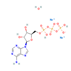 Aladdin Adenosine 5'-Triphosphate Disodium Salt Hydrate