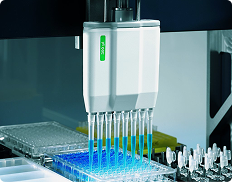 BrandTech Fall Deal: Buy 2, Get 1 Free