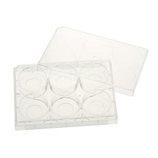 Celltreat 6 Well Tissue Culture Plate with Lid, 20mm Glass Bottom, Individual, Sterile, 5/Cs - 229107