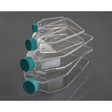 25cm2 Cell Culture Flask, Plug Seal Cap, 50mL, 10/pk, 200/cs - 707001