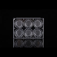 6 Cell Culture Inserts+6 Well Plate, 3 um, PC Membrane, 6/pk, 60/cs - 723001