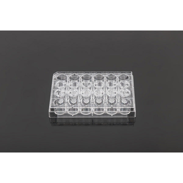 Cell Culture Inserts