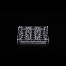 6 Well Glass Bottom Cell Culture Plate, 20mm, 10/cs - 801004