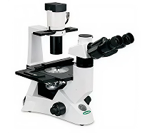 Inverted Microscopes