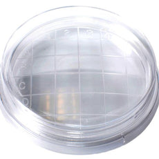 Qorpak Petri Dishes 500/Case - 322764