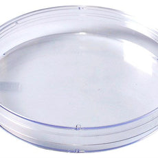 Qorpak Petri Dishes 500/Case - 322797