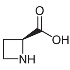 L-Azetidine-2-carboxylic Acid[Antagonist of L-Proline], 1G - A1043-1G