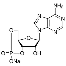Adenosine 3',5'-Cyclic Monophosphate Sodium Salt, 100MG - A2112-100MG