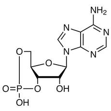 Adenosine 3',5'-Cyclic Monophosphate, 5G - A2381-5G