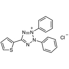 2,3-Diphenyl-5-(2-thienyl)tetrazolium Chloride, 100MG - B0325-100MG