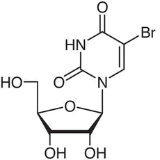 5-Bromouridine, 100MG - B0666-100MG