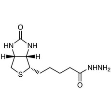 Biotin Hydrazide, 100MG - B2431-100MG
