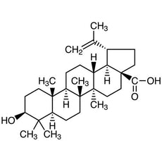 Betulinic Acid, 100MG - B2836-100MG