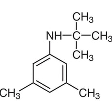 N-tert-Butyl-3,5-dimethylaniline, 5G - B2903-5G