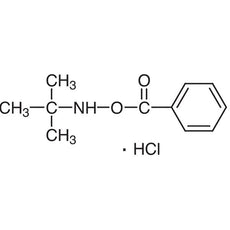 O-Benzoyl-N-tert-butylhydroxylamine Hydrochloride, 1G - B3238-1G