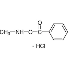 O-Benzoyl-N-methylhydroxylamine Hydrochloride, 1G - B3239-1G