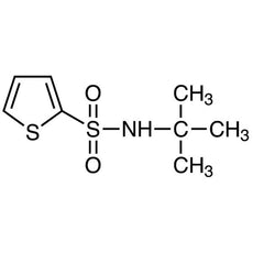 N-tert-Butyl-2-thiophenesulfonamide, 1G - B4330-1G