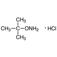O-(tert-Butyl)hydroxylamine Hydrochloride, 1G - B4589-1G