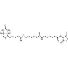 Biotin-LC-LC-NHS(2mg*5), 1SET - B6096-1SET