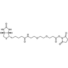 Biotin-PEG2-NHS(2mg*5), 1SET - B6097-1SET