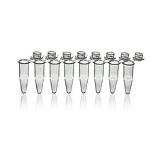 Brandtech PCR Tube Strips, Strips of 8 w/indiv att. Dome caps, clr, .2ml, q120 - P1300