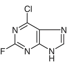 6-Chloro-2-fluoropurine, 1G - C2221-1G