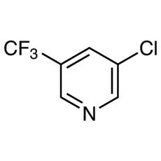 3-Chloro-5-(trifluoromethyl)pyridine, 1G - C2951-1G