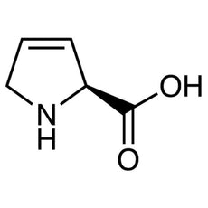 3,4-Dehydro-L-proline, 100MG - D3825-100MG