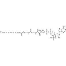 2-trans-Dodecenoyl-Co A, 25MG - D5661-25MG