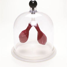 Lung Apparatus - LUNG01-B