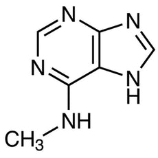 N-Methyl-7H-purin-6-amine, 1G - M3166-1G