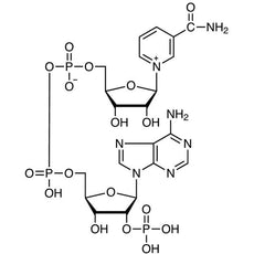 beta-Nicotinamide Adenine Dinucleotide Phosphate[for Biochemical Research], 100MG - N0943-100MG