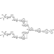 Neu5Gc alpha(2-6) N-Glycan 2AB(500pmol/vial), 1VIAL - N1075-1VIAL