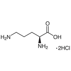 L-Ornithine Dihydrochloride, 1G - O0089-1G