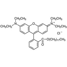 Octadecyl Rhodamine B Chloride, 10MG - O0512-10MG