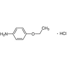 p-Phenetidine Hydrochloride, 25G - P0116-25G