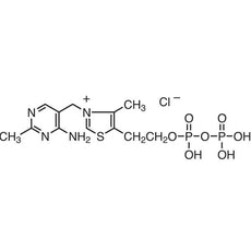 Thiamine Pyrophosphate Chloride, 5G - T0183-5G