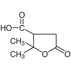 Terebic Acid, 5G - T1208-5G