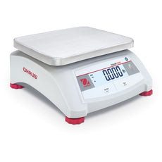 Compact Scale V12P15 AM - 30539392