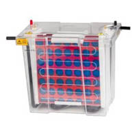 Electrophoresis & Blotting