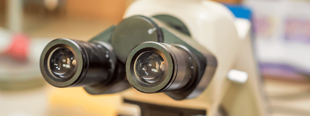 What Type of Focus Systems are Important?
