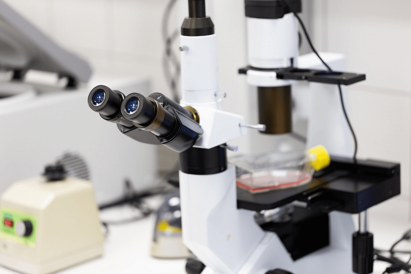 Interference microscope