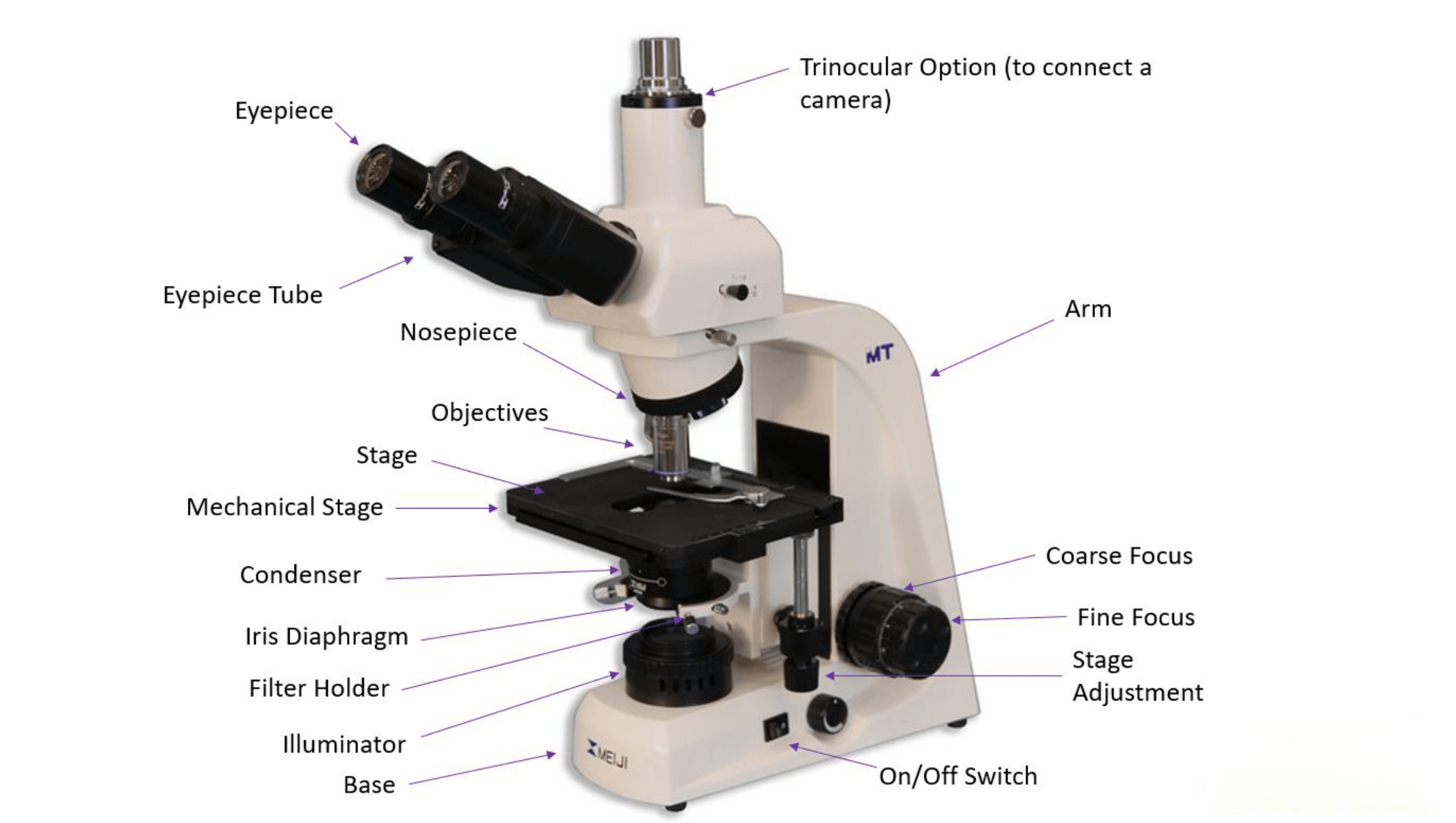 Microscopes 101