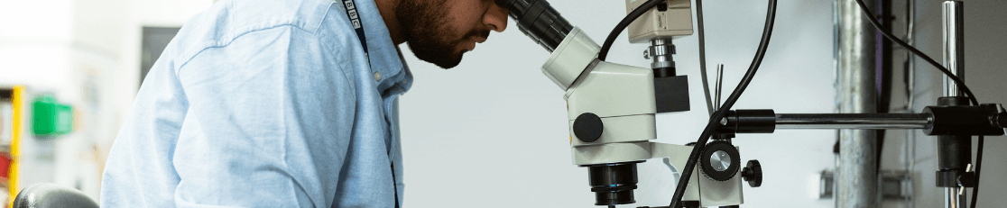 Stereo Microscopes