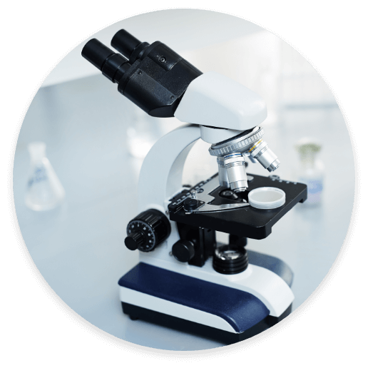 Compound microscope